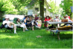 Picnic 2008